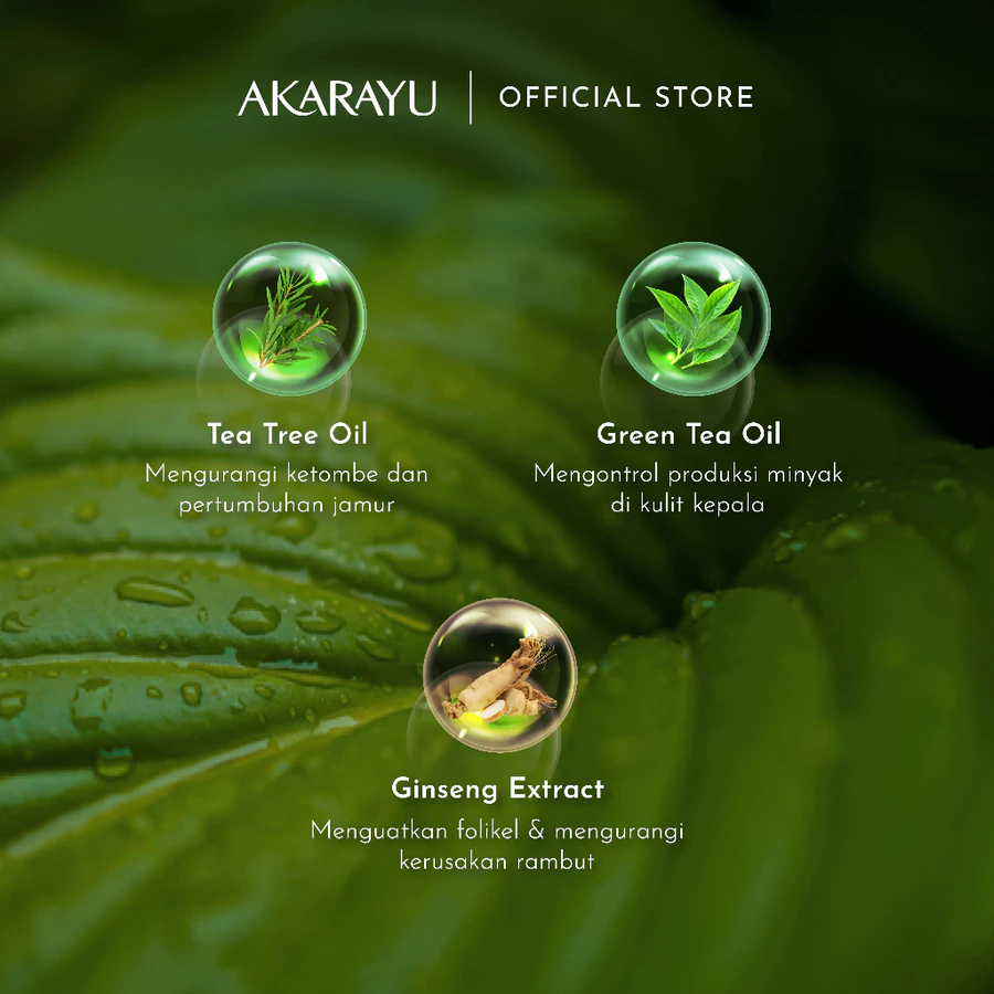 Shampoo-Anti-Ketombe_3